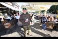 IMG 1916