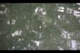 IMG 2374