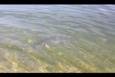 IMG 5854